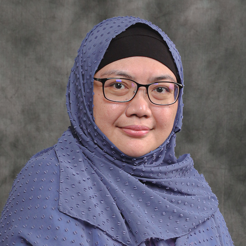 Prof Ir Dr Siti Noor Linda binti Taib <br>Deputy Vice Chancellor (Research & Innovation)